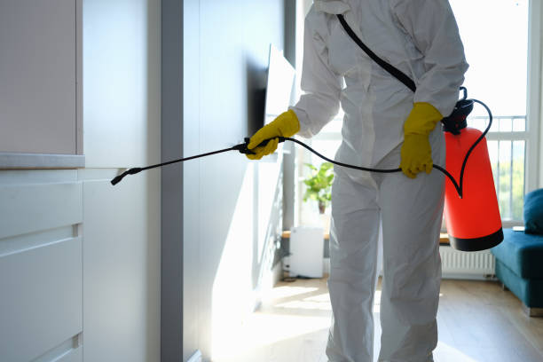 Certified Mold Removal in Jefferson, IA