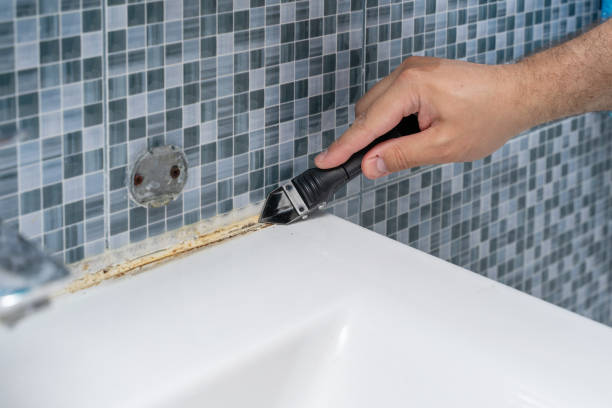 Best Mold Cleaning Services  in Jefferson, IA